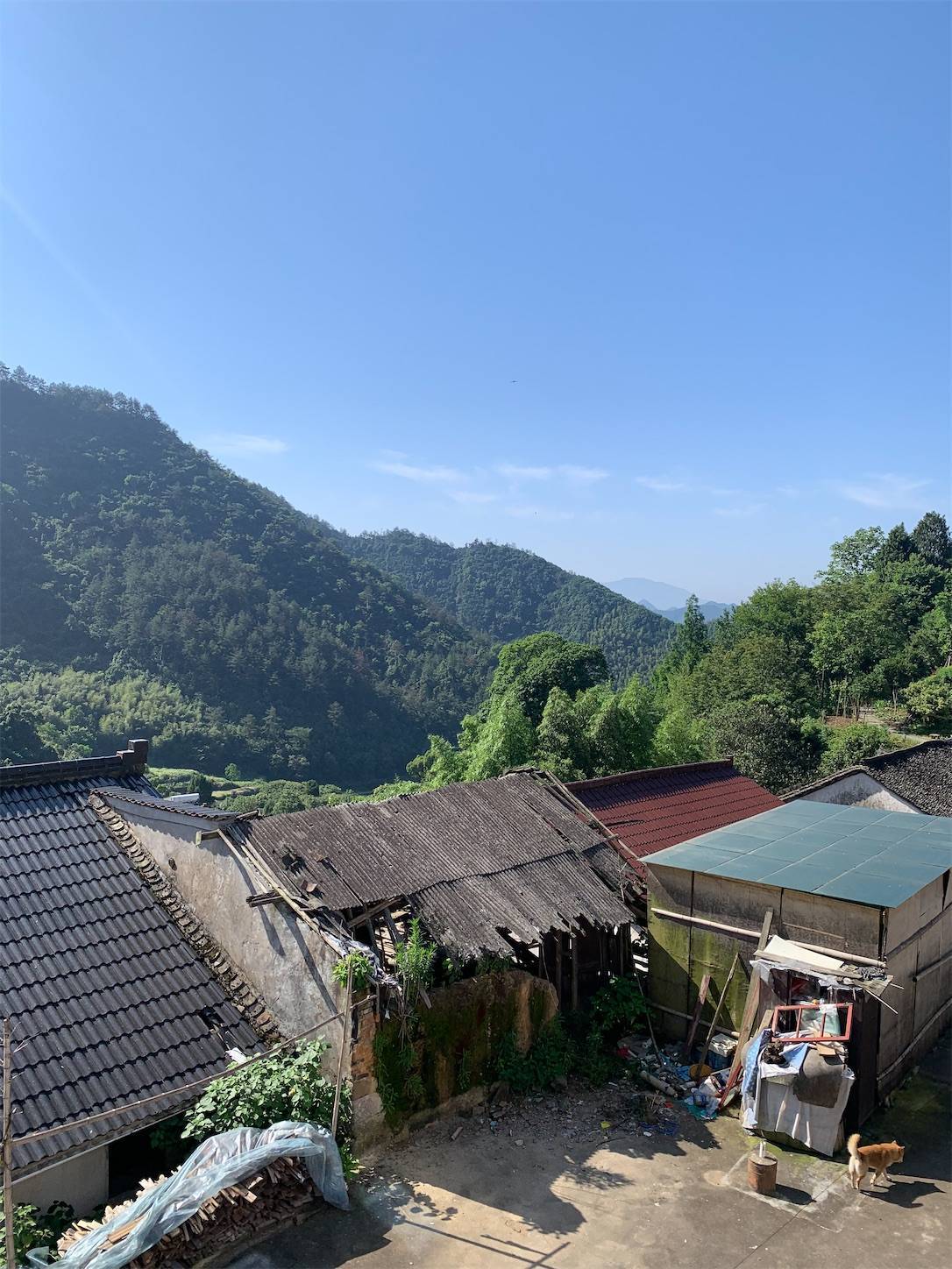 f:id:shan1tian2:20210611143259j:plain