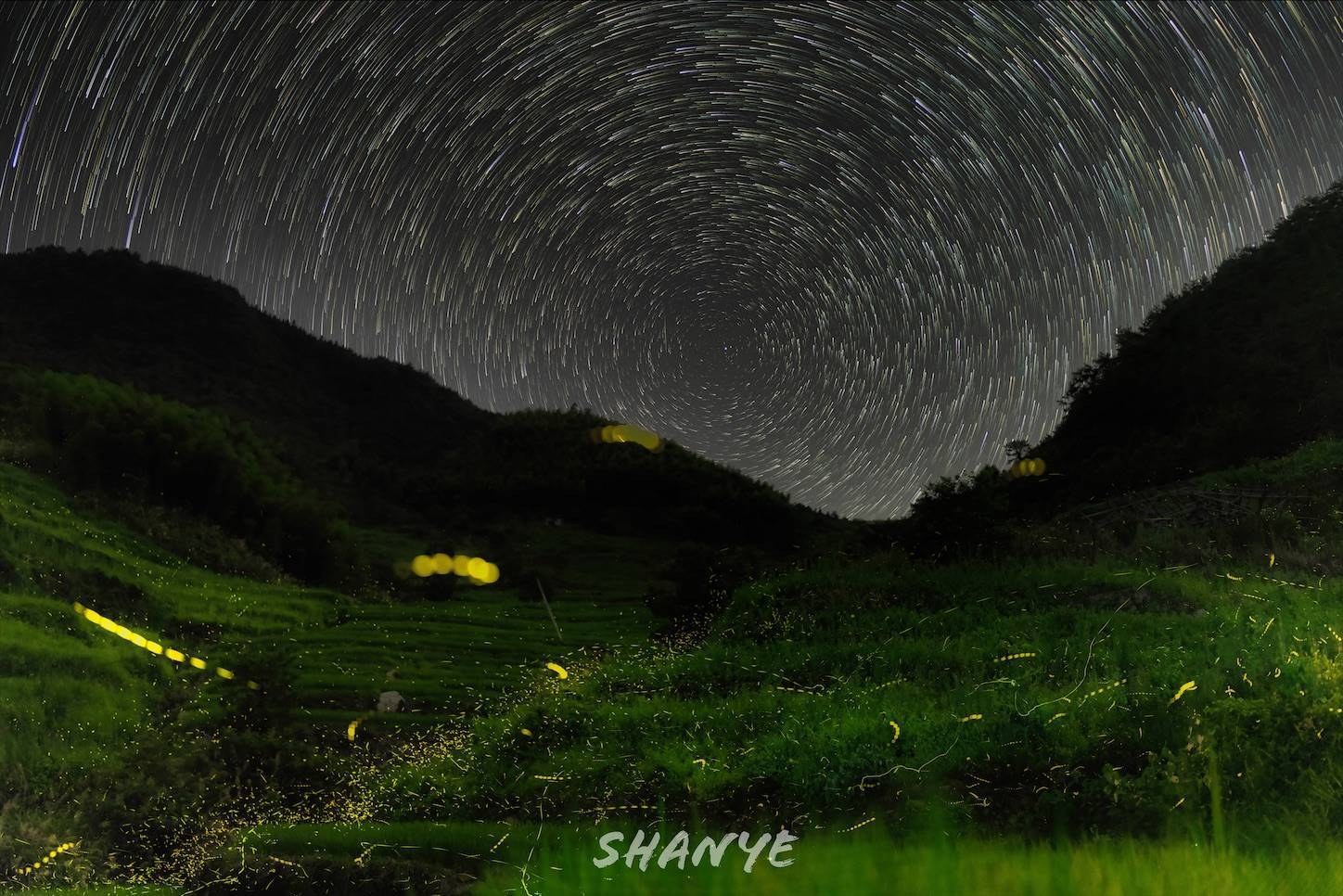 ホタルと星の軌跡