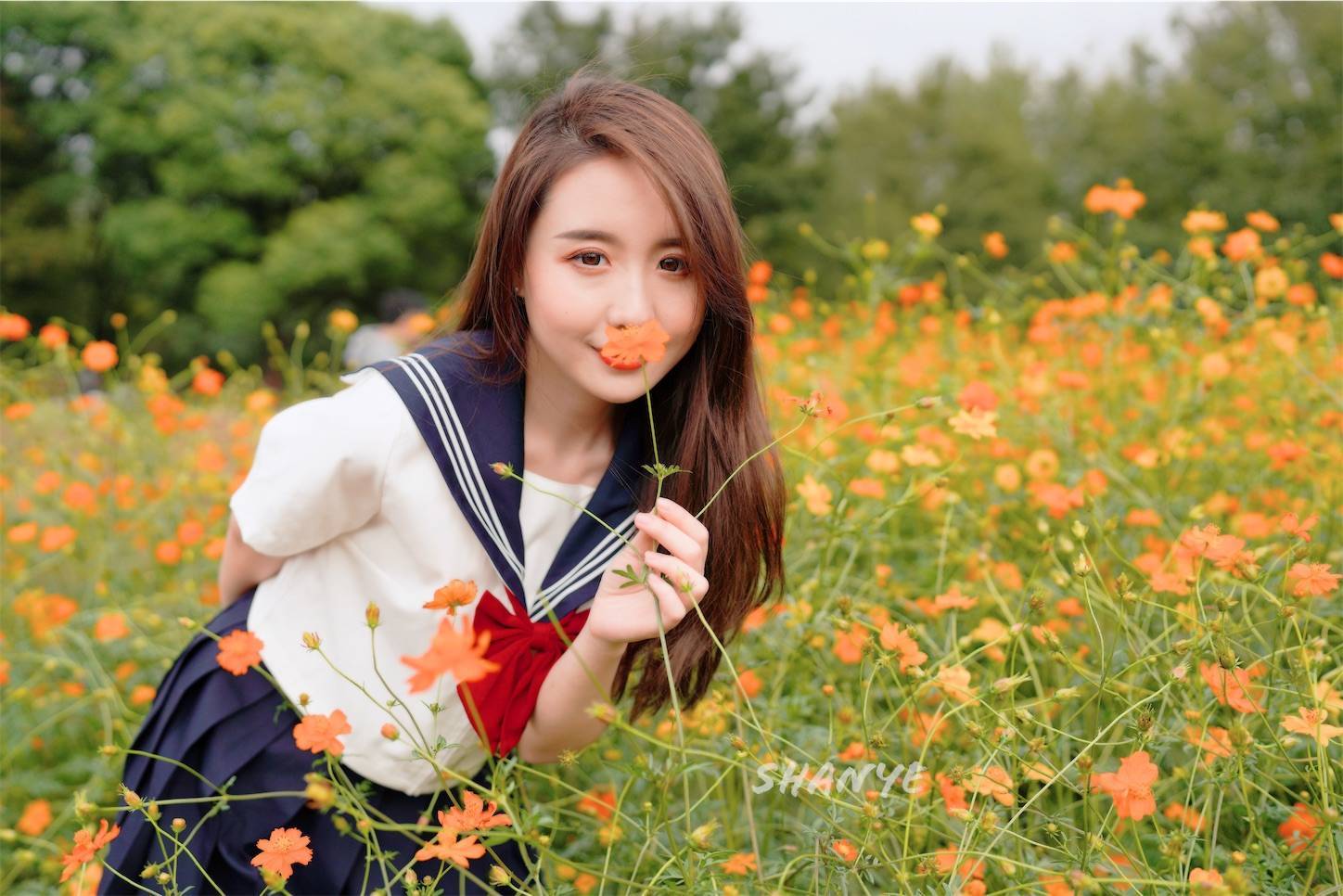 f:id:shan1tian2:20211101171247j:plain