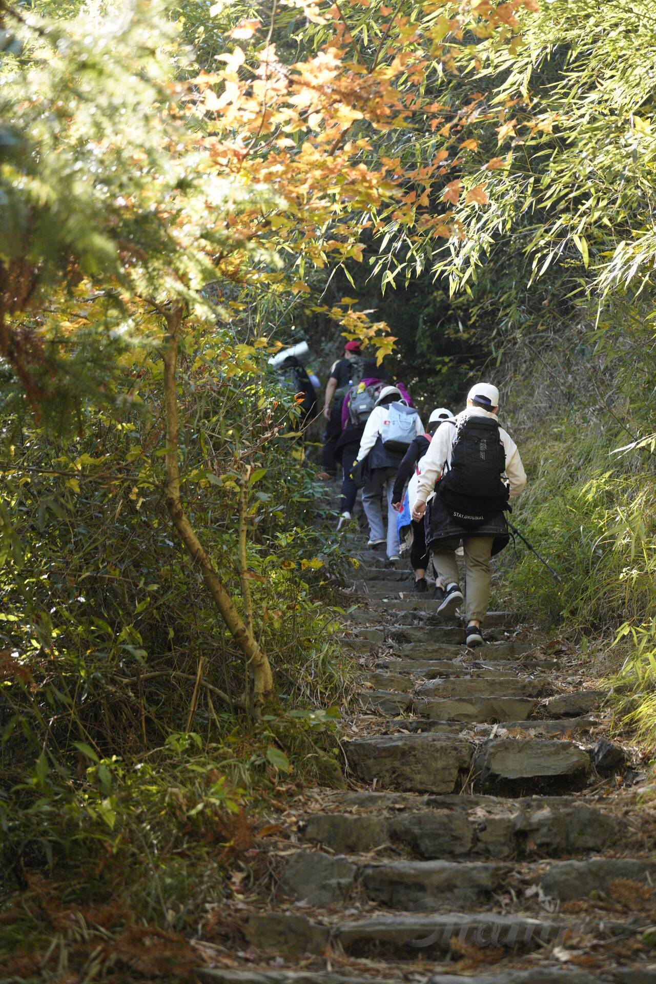 登山,徽杭古道