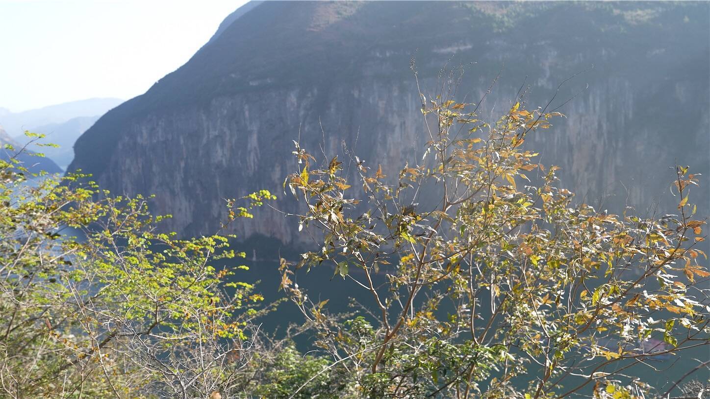 三峡之嶺危石鳥道