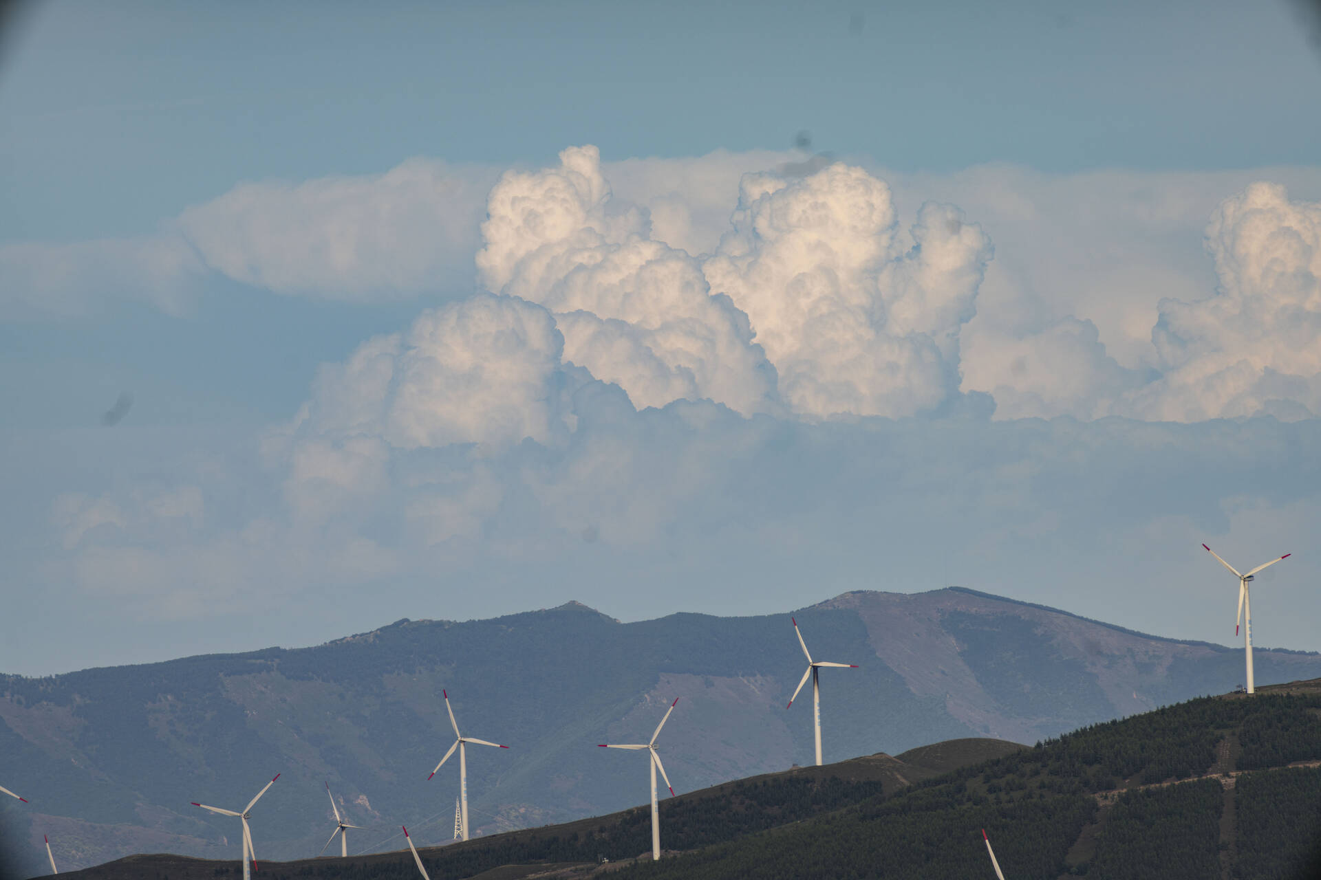 TTArtisan 500mm F6.3、風景サンプル3