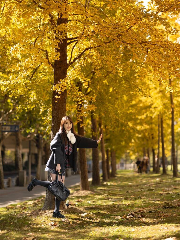 GFX100S＋GF80mmF1.7,上海銀杏