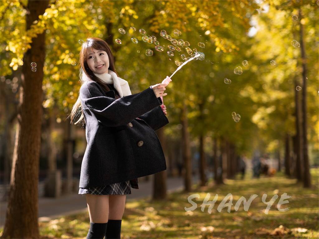GFX100S＋GF80mmF1.7,上海銀杏