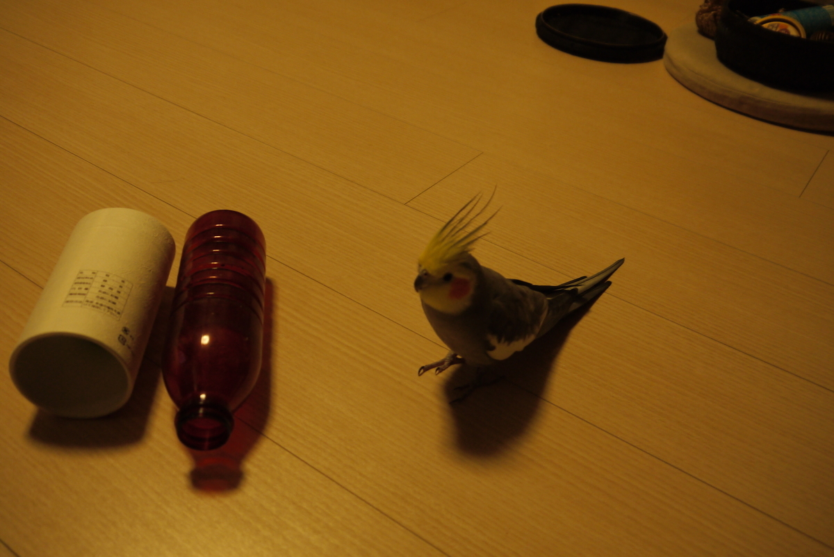 f:id:shangtian:20200104212042j:plain