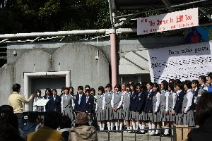 f:id:shantey:20091228232744j:image