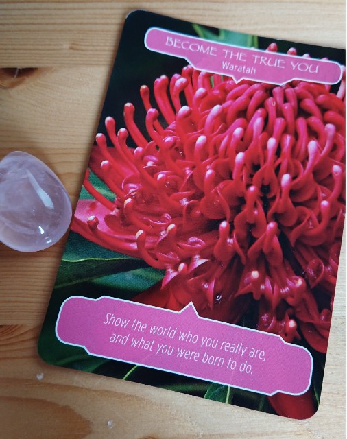 f:id:shantiray:20210322092421j:image