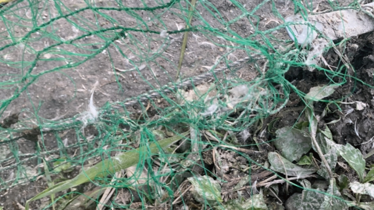 f:id:shaori_13:20200618210037j:plain f:id:shaori_13:20200618210037j:plain