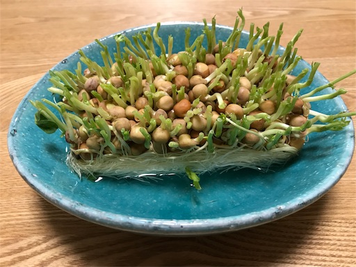 f:id:sharespacechocolat:20190407052747j:image f:id:sharespacechocolat:20190407052747j:image