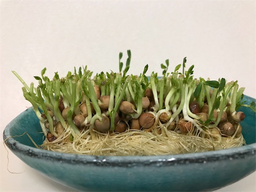 f:id:sharespacechocolat:20190410203918j:image f:id:sharespacechocolat:2https://blog.hatena.ne.jp/sharespacechocolat/sakurasaaan.hatenablog.jp/edit?entry=17680117127019431993#source0190410203918j:image