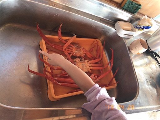 f:id:sharespacechocolat:20190428161438j:image f:id:sharespacechocolat:20190428161438j:image