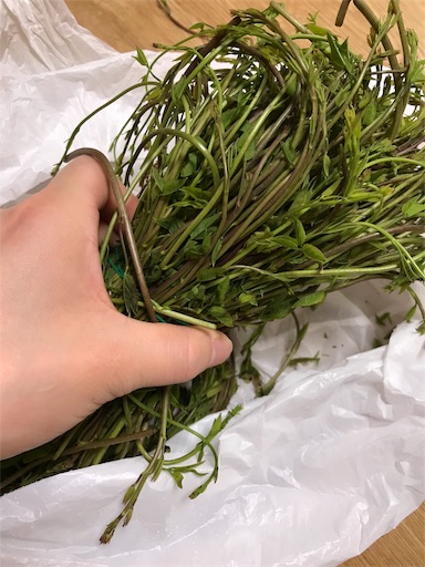 f:id:sharespacechocolat:20190502212232j:image f:id:sharespacechocolat:20190502212232j:image