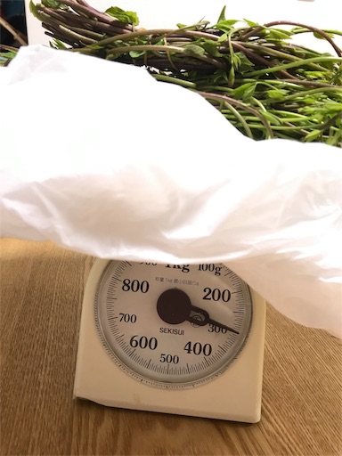 f:id:sharespacechocolat:20190502212236j:image f:id:sharespacechocolat:20190502212236j:image