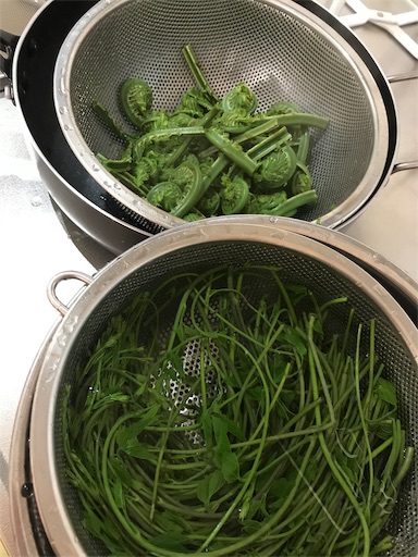 f:id:sharespacechocolat:20190503201220j:image f:id:sharespacechocolat:20190503201220j:image
