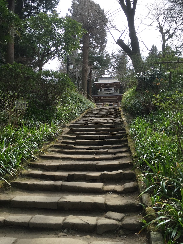 f:id:sharo-poke:20170330055425j:image