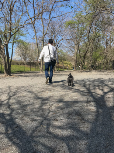 f:id:shasha1:20180501170023j:plain f:id:shasha1:20180501170023j:plain