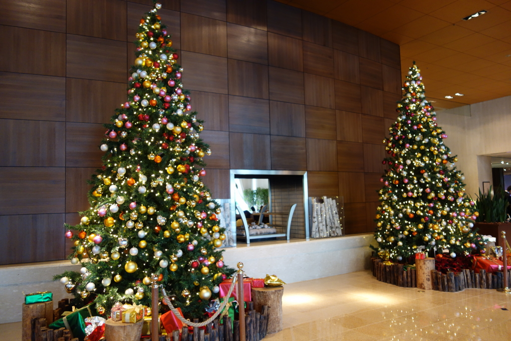 f:id:shastacrystal:20161207230946j:plain