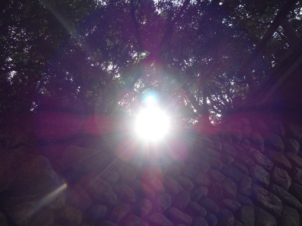 f:id:shastacrystal:20180705221736j:plain f:id:shastacrystal:20180705221736j:plain