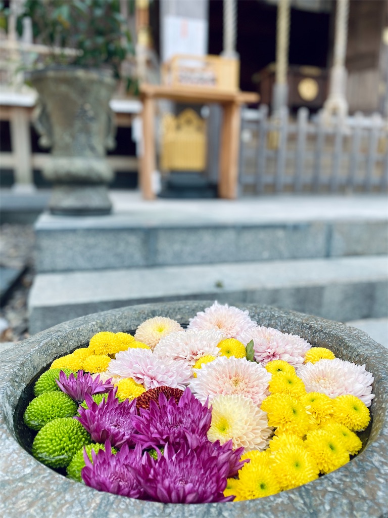 f:id:shastacrystal:20191115222940j:image