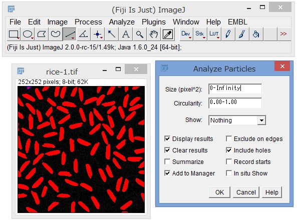 Imagej で米粒 細胞 を数えて解析しよう バイオ系だけどプログラミング始めました