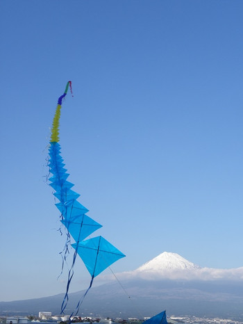 f:id:shavetail1:20140126144807j:image:w200