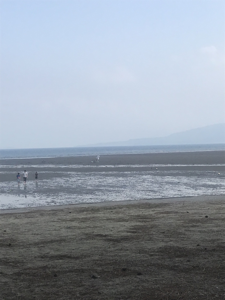 f:id:shaw-san:20180430200142j:plain f:id:shaw-san:20180430200142j:plain