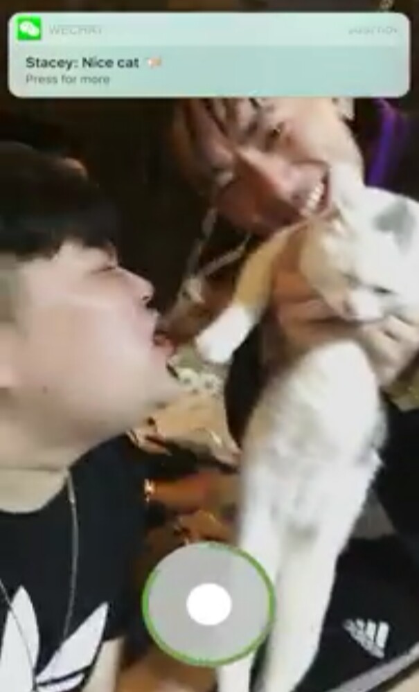 f:id:shayejia:20180128224619j:image