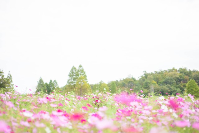 f:id:shbwill:20160308212756j:plain f:id:shbwill:20160308212756j:plain