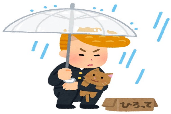 f:id:shedkun:20180829204350j:plain f:id:shedkun:20180829204350j:plain