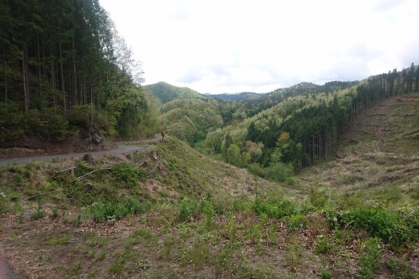 田舎の山道