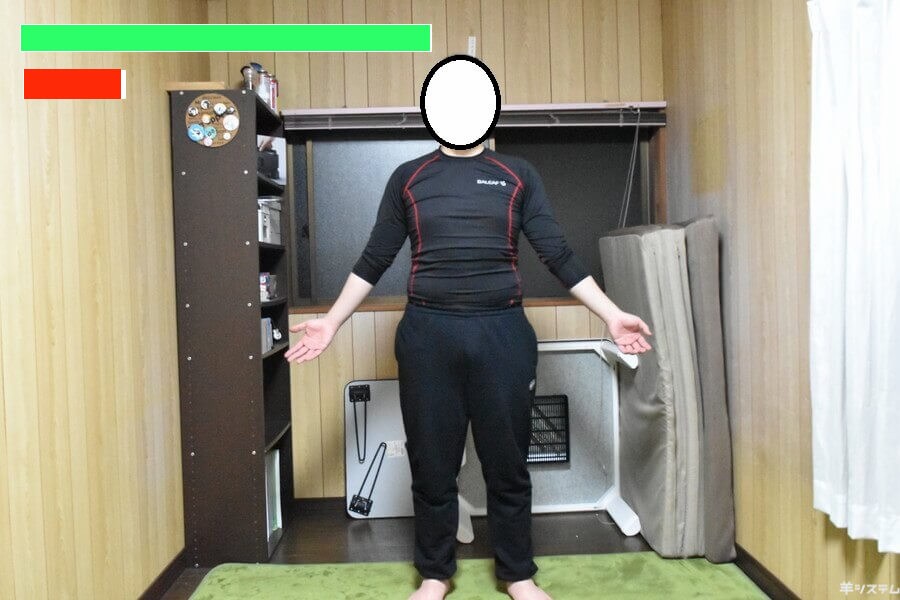f:id:sheepsystem:20170523214435j:plain f:id:sheepsystem:20170523214435j:plain