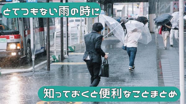 f:id:sheepsystem:20171007182259j:plain f:id:sheepsystem:20171007182259j:plain