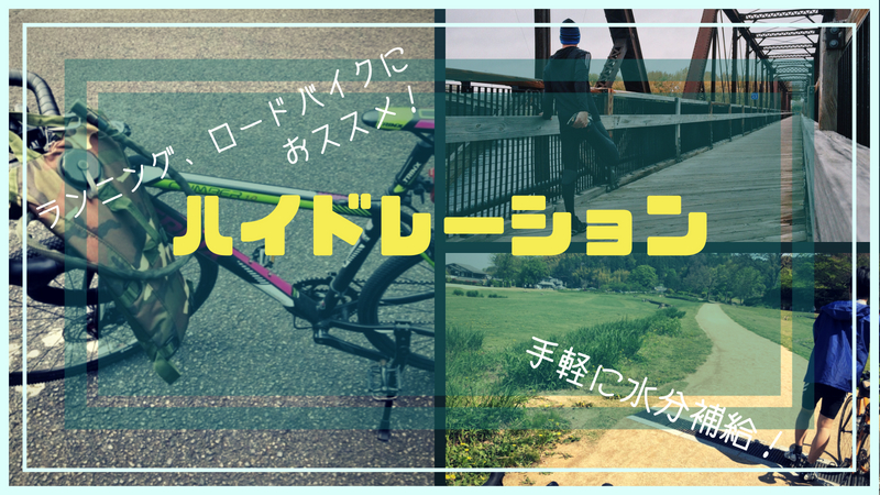 f:id:sheepsystem:20180604215616j:plain f:id:sheepsystem:20180604215616j:plain