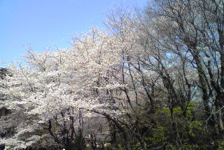 f:id:sheila0116:20090406215623j:image f:id:sheila0116:20090406215623j:image