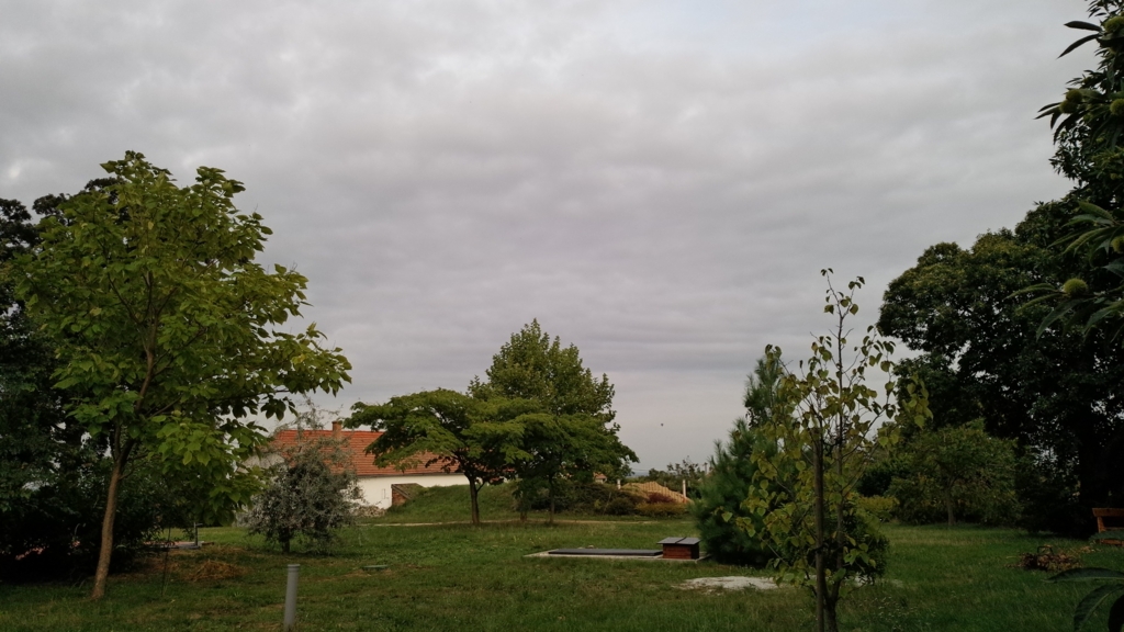 f:id:sheldlake-wine:20161111161748j:plain