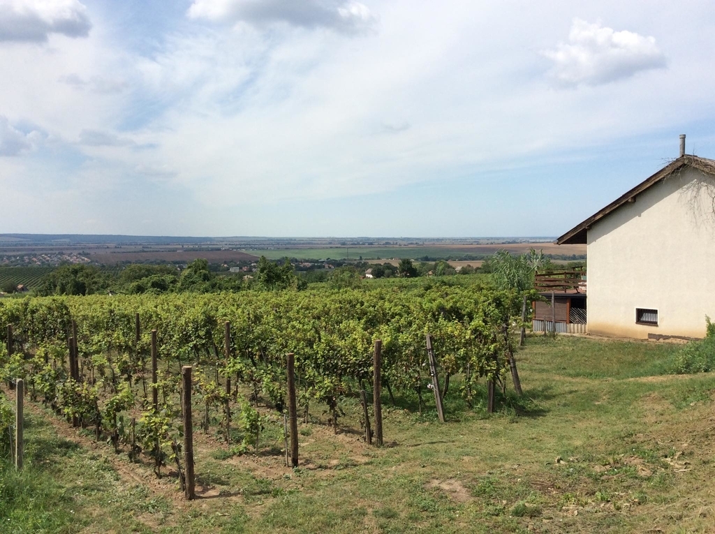 f:id:sheldlake-wine:20181029200424j:plain f:id:sheldlake-wine:20181029200424j:plain