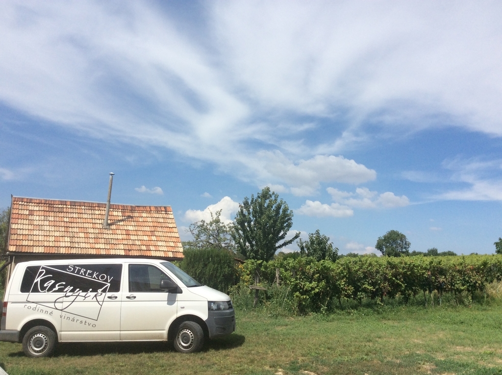 f:id:sheldlake-wine:20181111125611j:plain f:id:sheldlake-wine:20181111125611j:plain