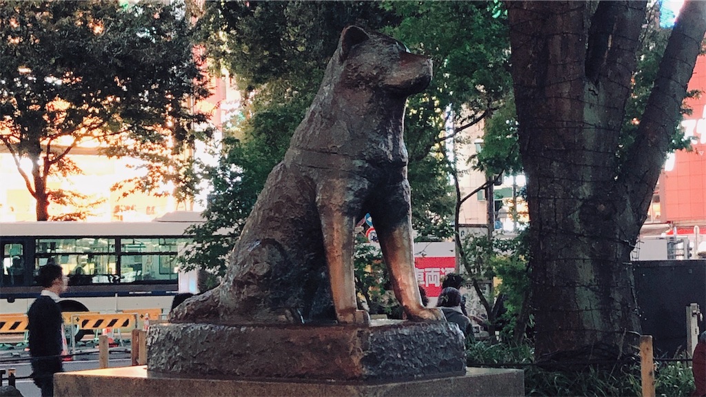 f:id:shell019k:20191114154521j:image f:id:shell019k:20191114154521j:image