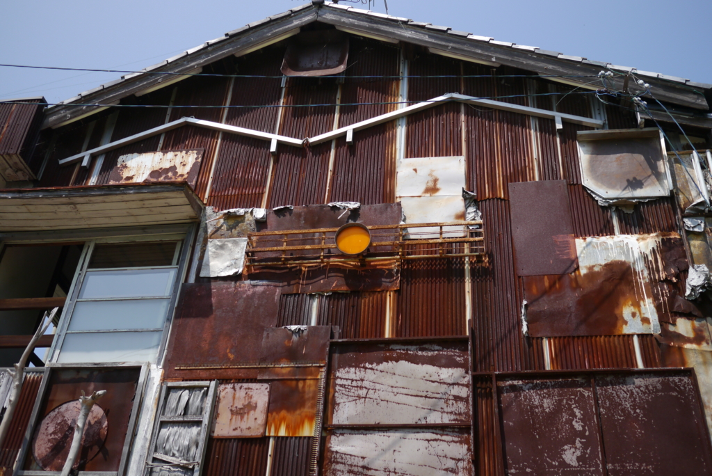 f:id:shellcollecting:20161230104248j:plain