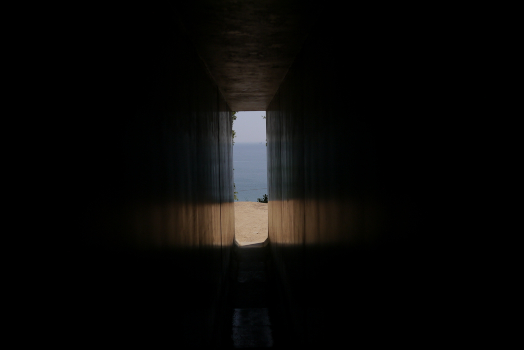 f:id:shellcollecting:20161230170835j:plain