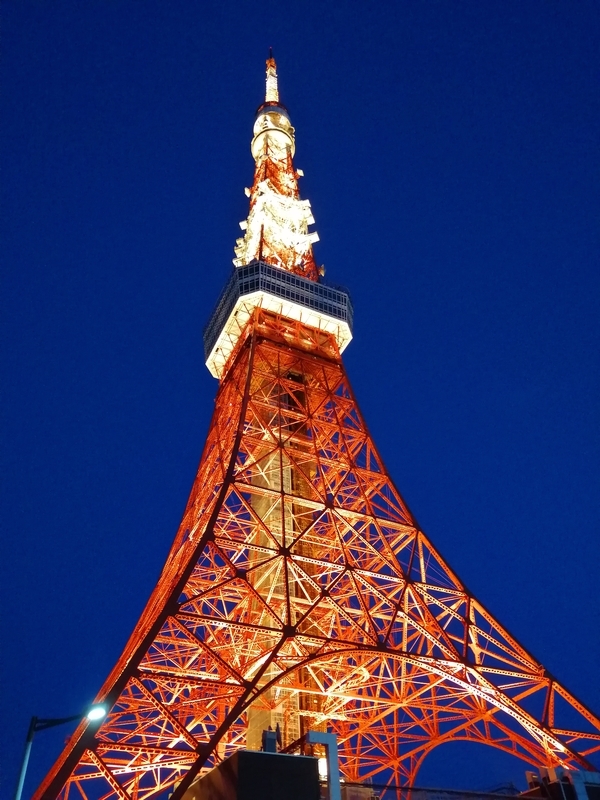 f:id:shelterofr:20201206163444j:plain