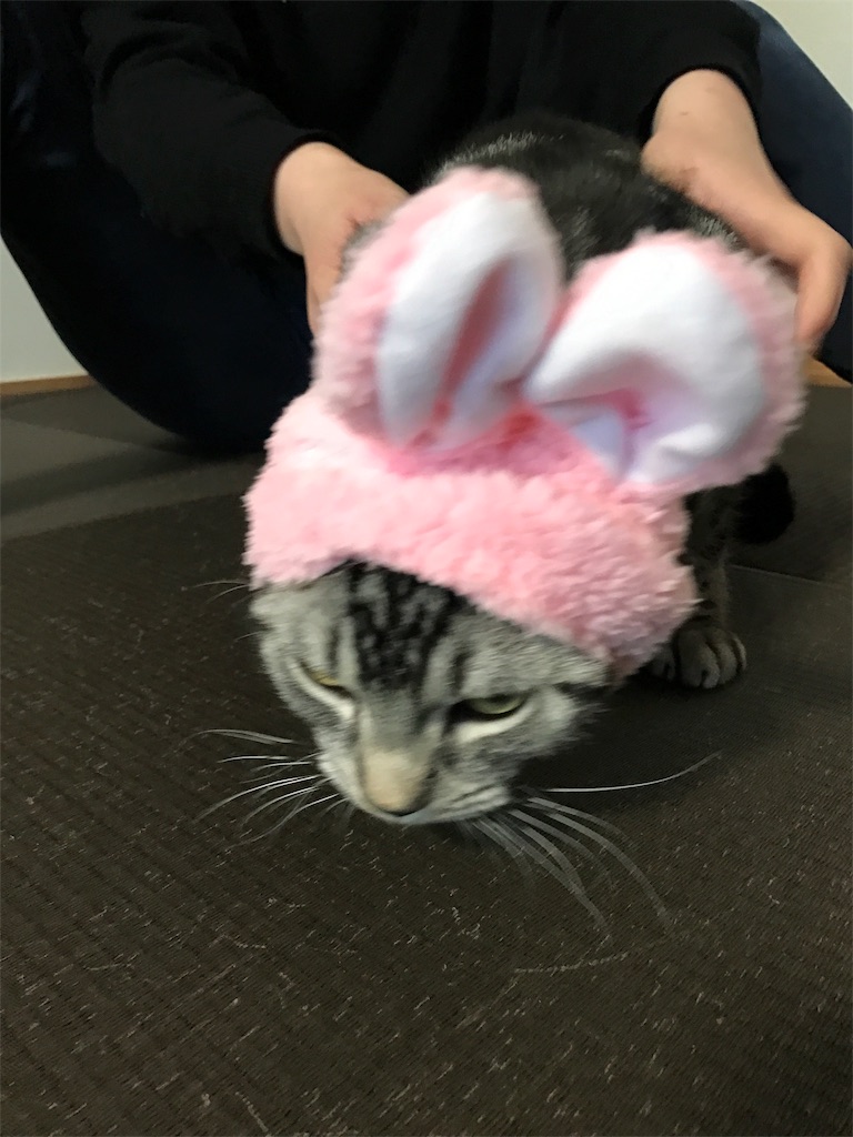 f:id:sheltie1:20171001191324j:image