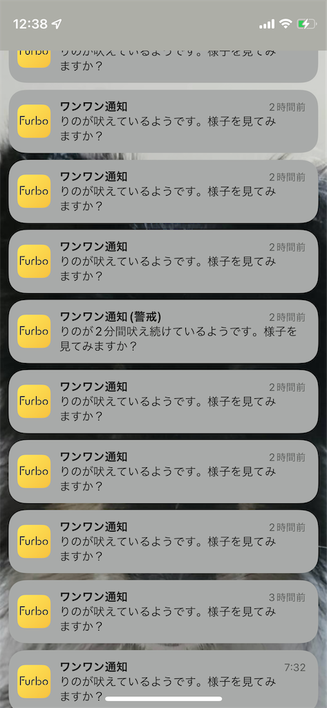 f:id:sheltiereno:20220902133157p:image f:id:sheltiereno:20220902133157p:image