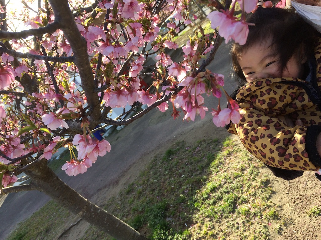 f:id:shennongchaye:20210228000529j:image f:id:shennongchaye:20210228000529j:image