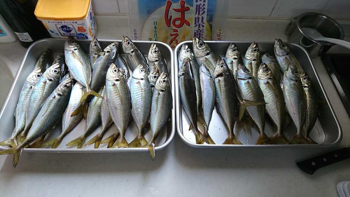 f:id:shermantaro:20190723144317j:plain