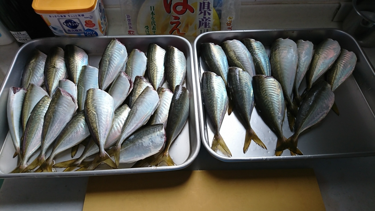 f:id:shermantaro:20190723152031j:plain