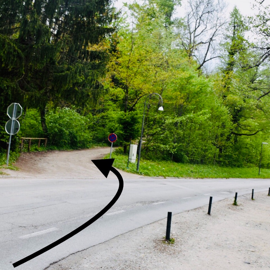 f:id:sherry2525:20190509011248j:image f:id:sherry2525:20190509011248j:image