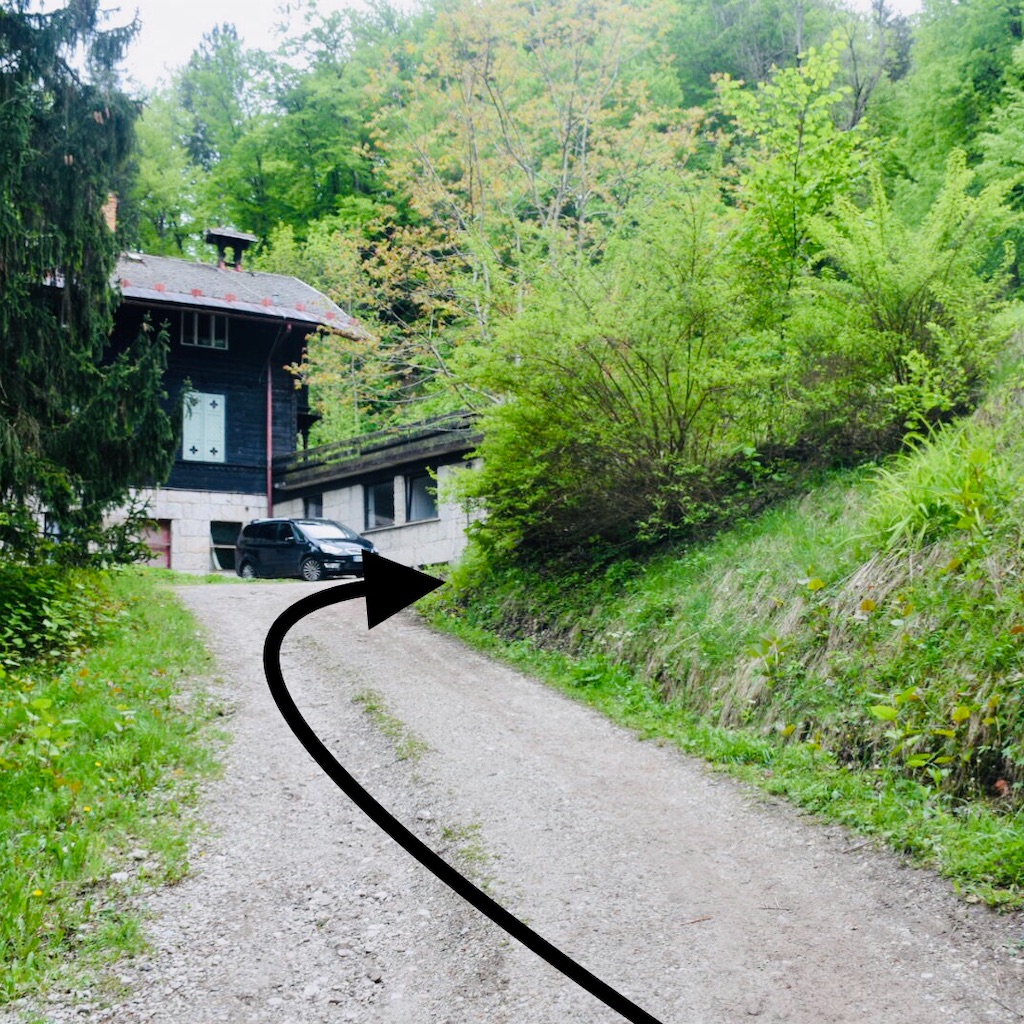 f:id:sherry2525:20190509011253j:image f:id:sherry2525:20190509011253j:image