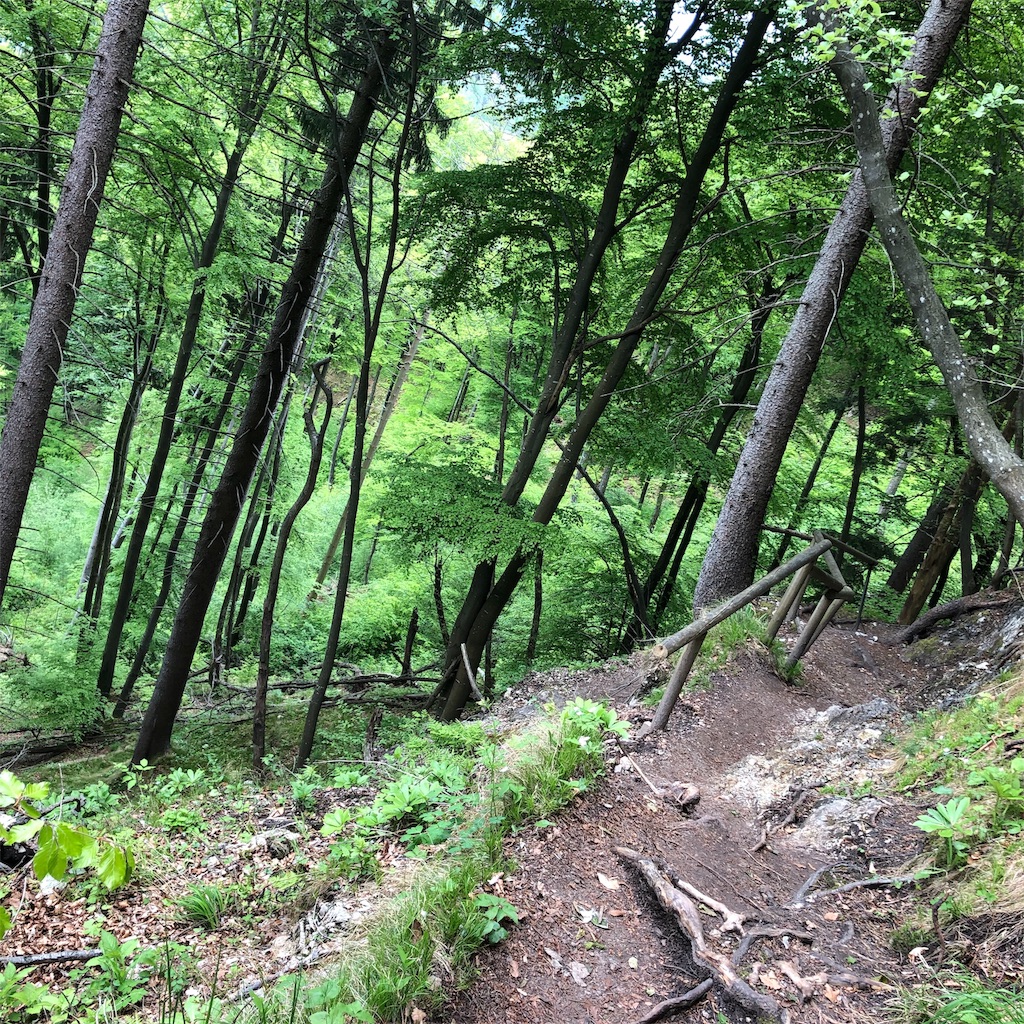 f:id:sherry2525:20190509011624j:image f:id:sherry2525:20190509011624j:image