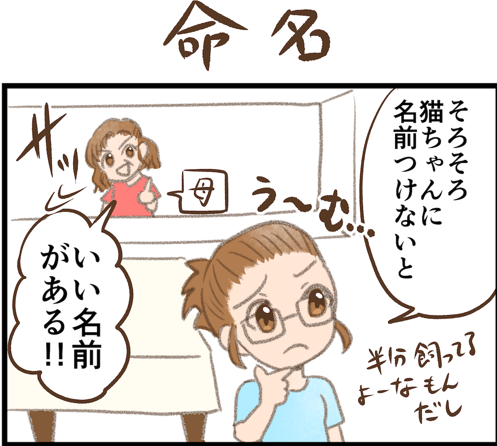 f:id:sherry_piyopiyo:20221025180808p:image f:id:sherry_piyopiyo:20221025180808p:image